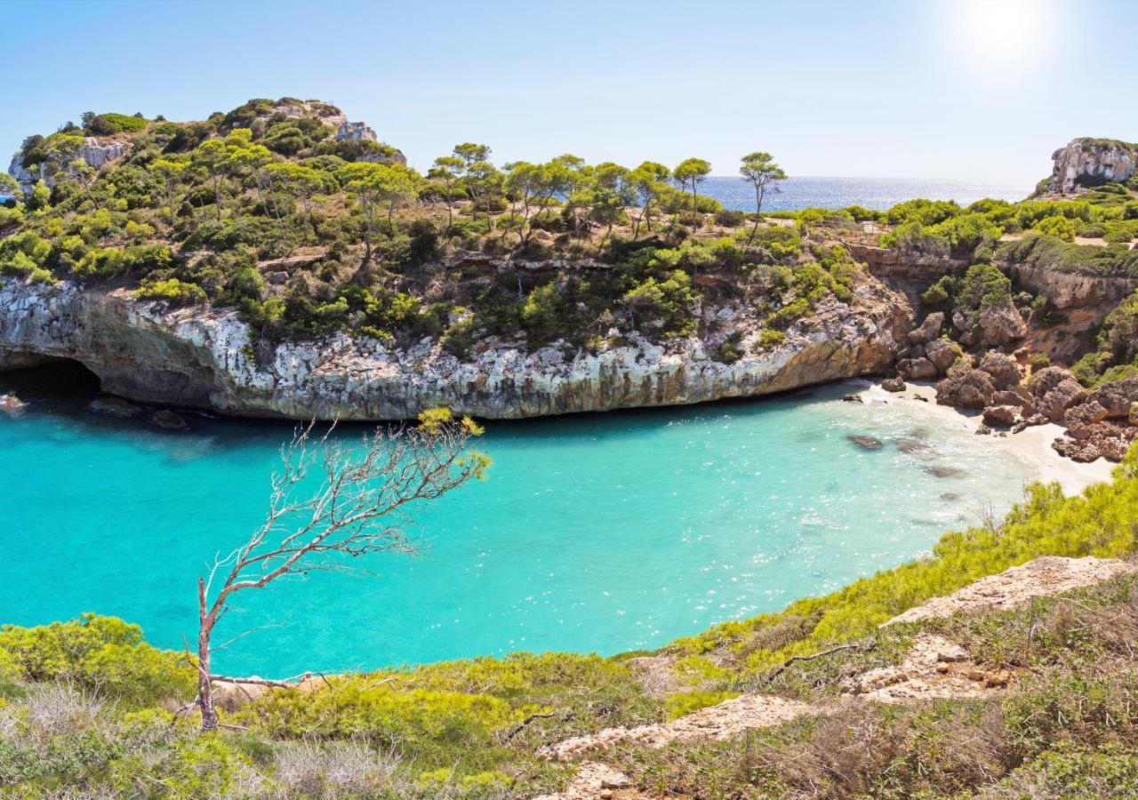 Marblau Mallorca Cala Figuera  Exterior foto